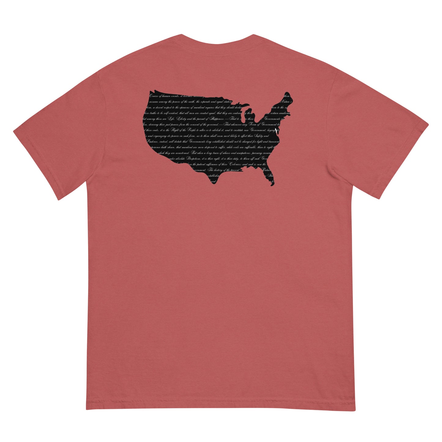 We Hold These Truths to be Self-Evident | T-Shirt