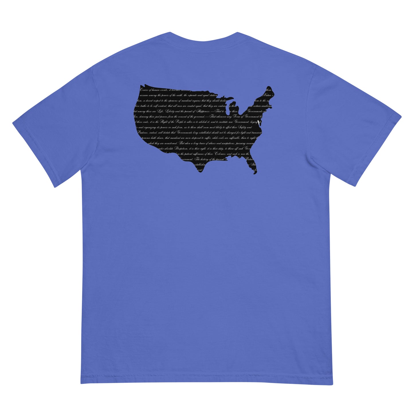 We Hold These Truths to be Self-Evident | T-Shirt