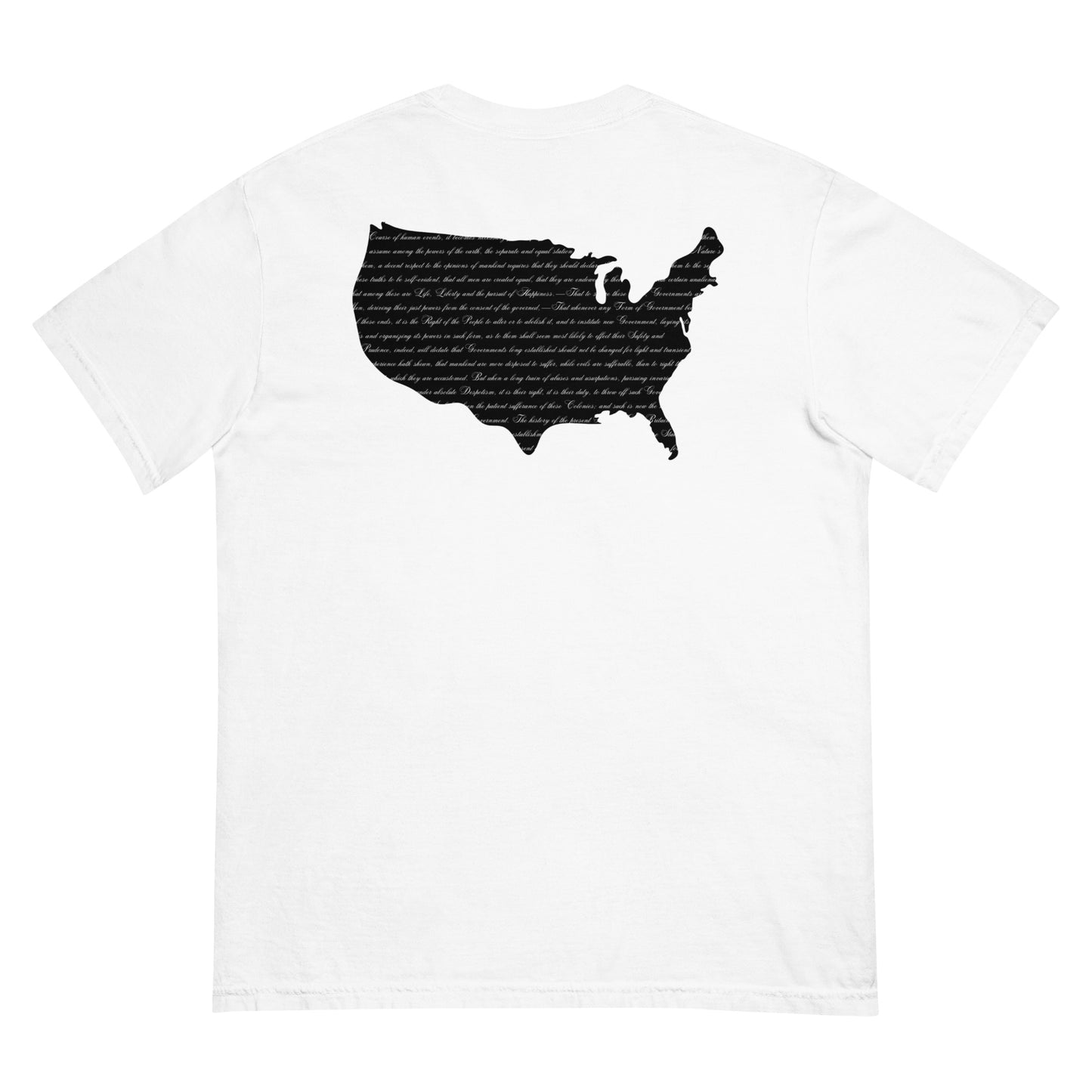 We Hold These Truths to be Self-Evident | T-Shirt